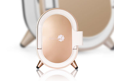 Machine de scanner de peau de Tablette, spectre UV de la machine RVB PL de beauté de scanner de peau