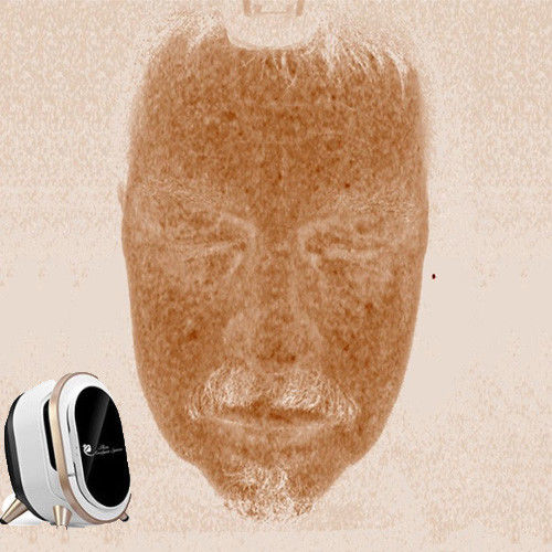 Analyseur portatif professionnel de peau, tension faciale de l'analyse 110-220V de peau